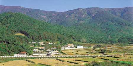 13군령마을